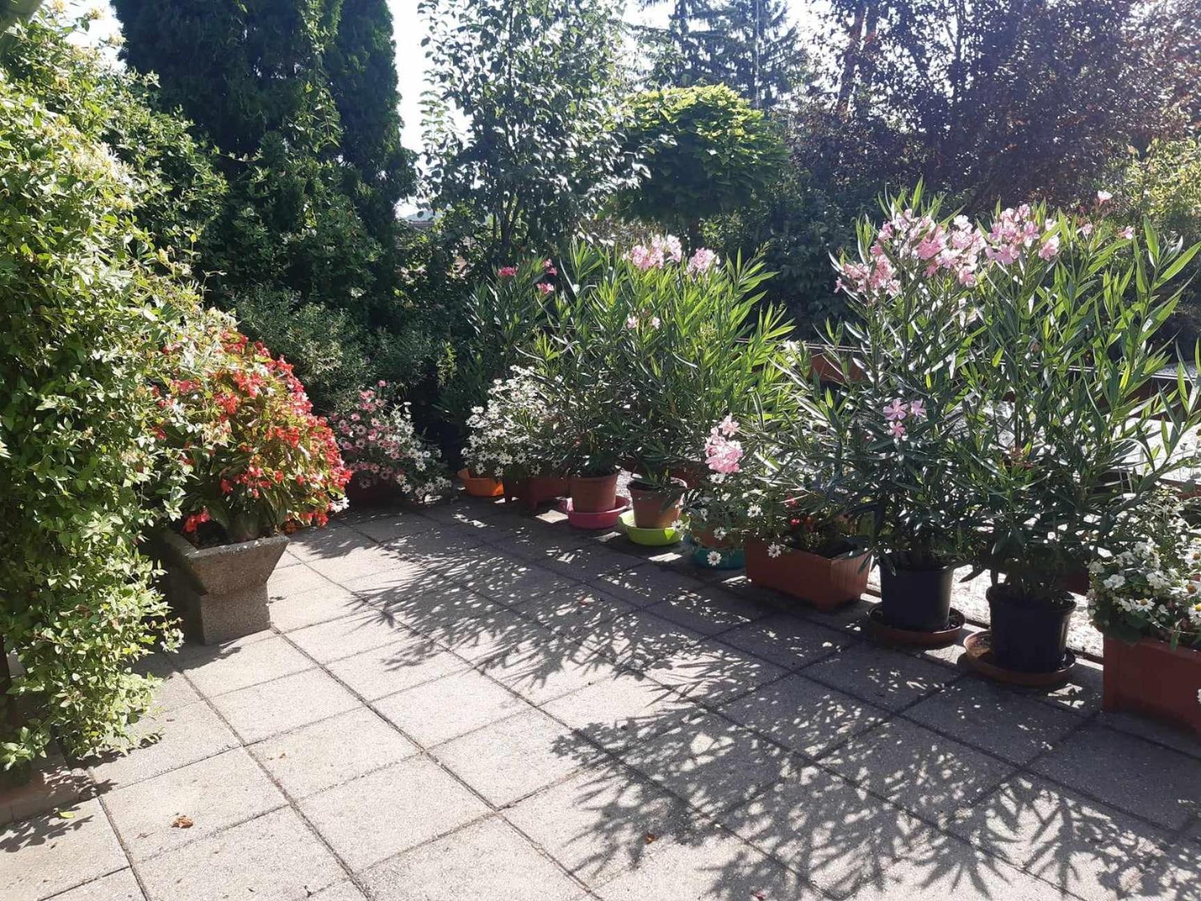 Gyoengyvirag Apartment Romhány 외부 사진