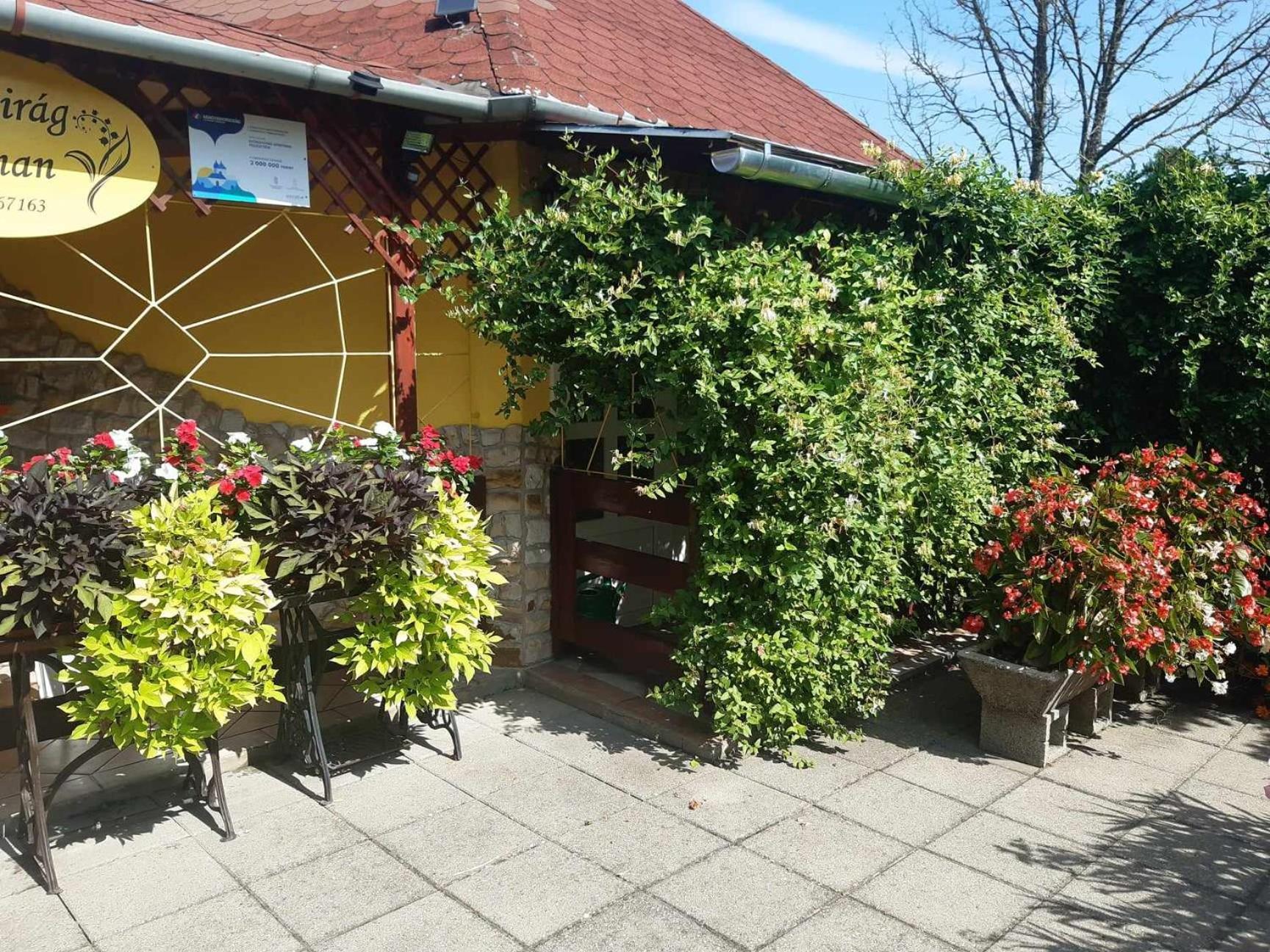 Gyoengyvirag Apartment Romhány 외부 사진
